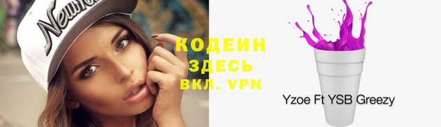 гашик Надым