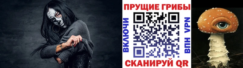 Псилоцибиновые грибы Psilocybine cubensis Электрогорск