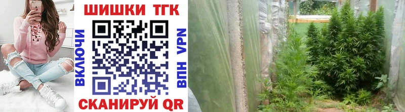 Купить где  Электрогорск  Марихуана VHQ